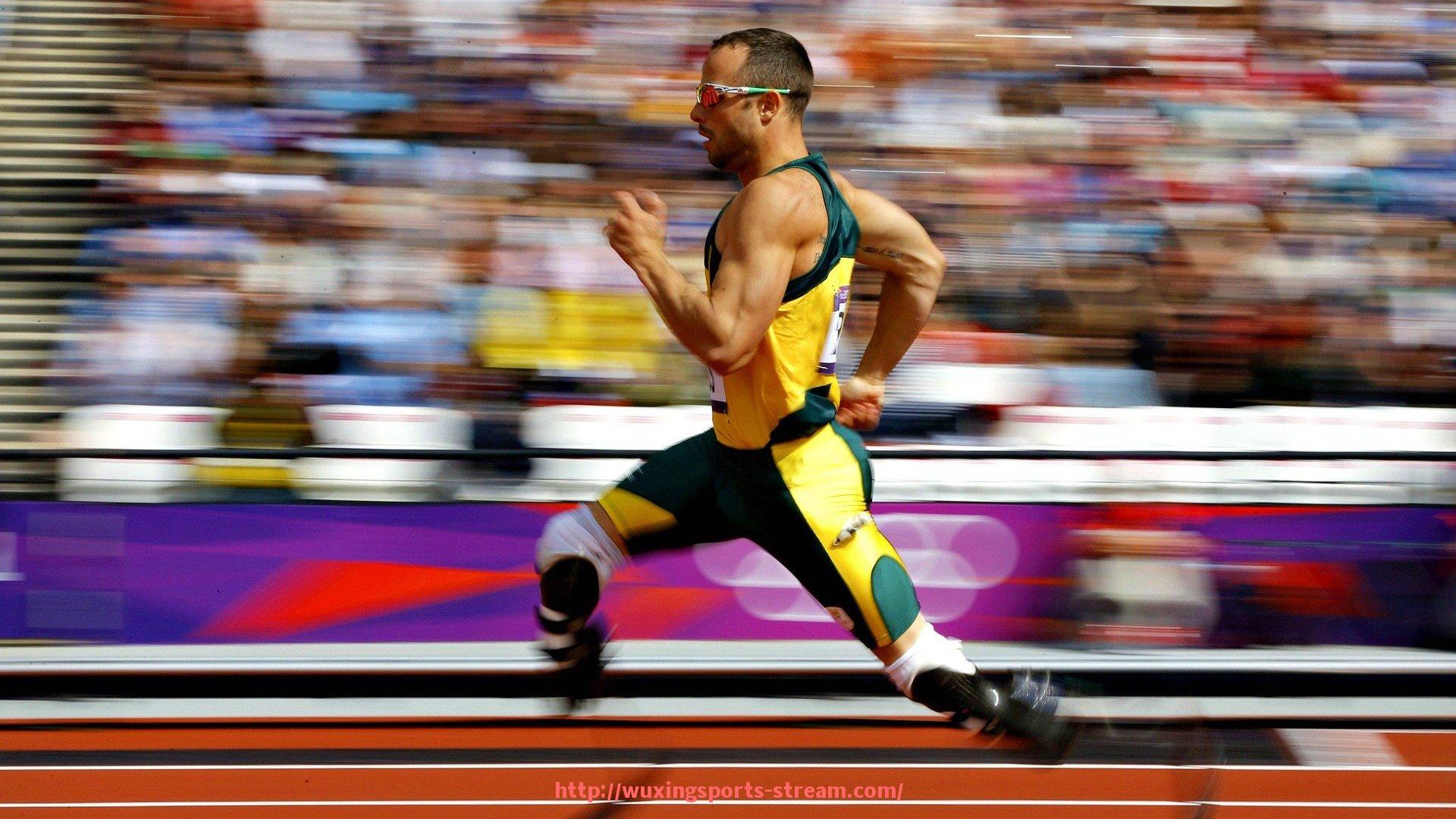 五星体育直播-世俱杯赛事资金管理与财务透明度提升实践